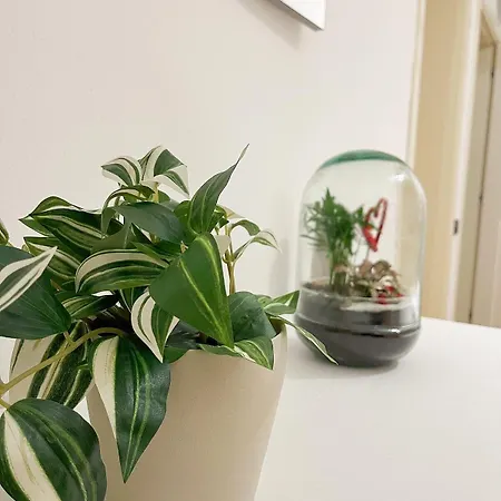 Matteucci 18 Centro Storico Appartamento *