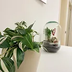 Matteucci 18 Romanticismo Bizantino In Centro Storico Apartamento *