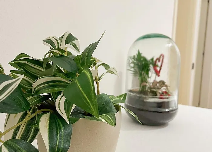 Matteucci 18 Romanticismo Bizantino In Centro Storico Διαμέρισμα *